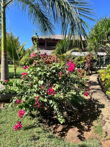 Villa Milena Nosy Be Exterior photo